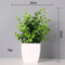 Energetic Artificial Bonsai Centerpiece Vivid NonFading Tabletop Plant Decor 3