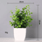 Energetic Artificial Bonsai Centerpiece Vivid NonFading Tabletop Plant Decor 6