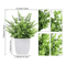 Energetic Artificial Bonsai Centerpiece Vivid NonFading Tabletop Plant Decor 8
