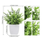 Energetic Artificial Bonsai Centerpiece Vivid NonFading Tabletop Plant Decor 8