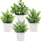 Energetic Artificial Bonsai Centerpiece Vivid NonFading Tabletop Plant Decor 0