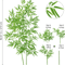 Tall Artificial Bamboo Plant Realistic Green Leaves For Home Office Decor 3