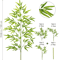 Tall Artificial Bamboo Plant Realistic Green Leaves For Home Office Decor 5