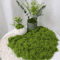 Artificial Green Moss For Crafts Faux Preserved Moss For Home Garden Decor 1
