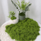 Artificial Green Moss For Crafts Faux Preserved Moss For Home Garden Decor 1