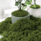 Artificial Green Moss For Crafts Faux Preserved Moss For Home Garden Decor 0
