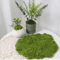 Artificial Green Moss For Crafts Faux Preserved Moss For Home Garden Decor 3