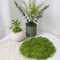 Artificial Green Moss For Crafts Faux Preserved Moss For Home Garden Decor 4