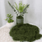 Artificial Green Moss For Crafts Faux Preserved Moss For Home Garden Decor 6
