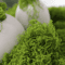 Artificial Green Moss For Crafts Faux Preserved Moss For Home Garden Decor 9