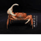 Real Crab Specimen Display Handcrafted Natural Collector Decor With Custom Options 7