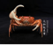 Real Crab Specimen Display Handcrafted Natural Collector Decor With Custom Options 7