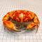 Real Crab Specimen Display Handcrafted Natural Collector Decor With Custom Options 15