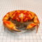 Real Crab Specimen Display Handcrafted Natural Collector Decor With Custom Options 15