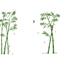 Bamboo Forest Wall Sticker Chinese Style Removable Nature Wall Decal For Living Room 1