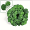 LushFlow Artificial Ivy Garland Realistic Hanging Vine Decor For Walls Events 4