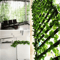 LushFlow Artificial Ivy Garland Realistic Hanging Vine Decor For Walls Events 5