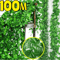 LushFlow Artificial Ivy Garland Realistic Hanging Vine Decor For Walls Events 10