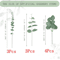 EverFresh Artificial Eucalyptus Leaves Lifelike Greenery Stems For Bouquets Decor 2