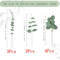 EverFresh Artificial Eucalyptus Leaves Lifelike Greenery Stems For Bouquets Decor 2