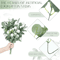 EverFresh Artificial Eucalyptus Leaves Lifelike Greenery Stems For Bouquets Decor 3