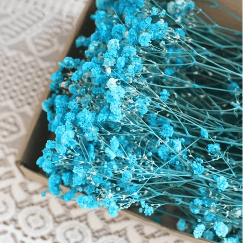 BloomCraft Mini Dried Babys Breath Flowers Real Gypsophila For Crafts Decor 1