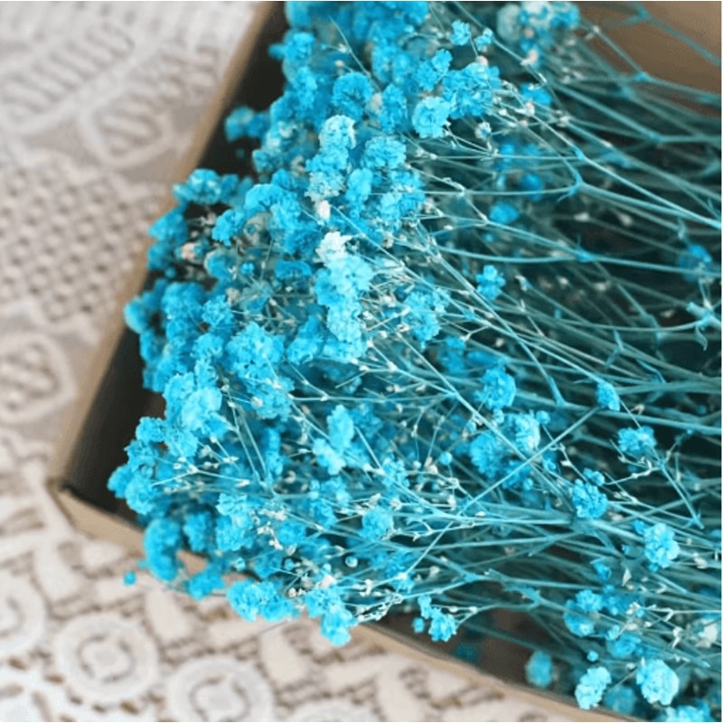 BloomCraft Mini Dried Babys Breath Flowers Real Gypsophila For Crafts Decor 1