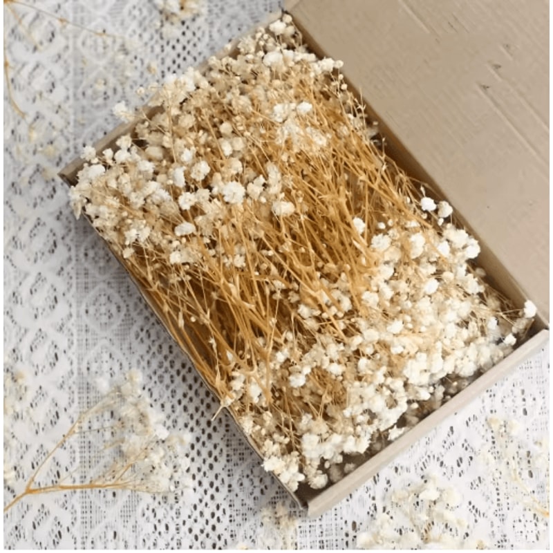 BloomCraft Mini Dried Babys Breath Flowers Real Gypsophila For Crafts Decor 2