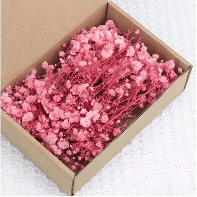 BloomCraft Mini Dried Babys Breath Flowers Real Gypsophila For Crafts Decor 3