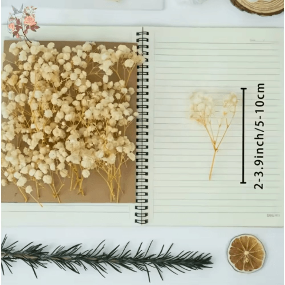 BloomCraft Mini Dried Babys Breath Flowers Real Gypsophila For Crafts Decor 5