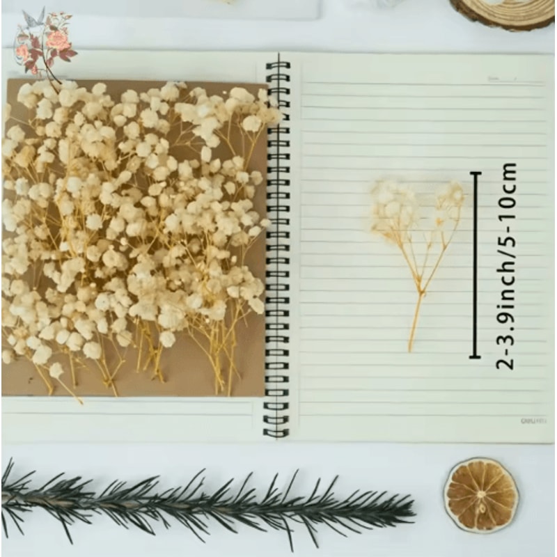 BloomCraft Mini Dried Babys Breath Flowers Real Gypsophila For Crafts Decor 5