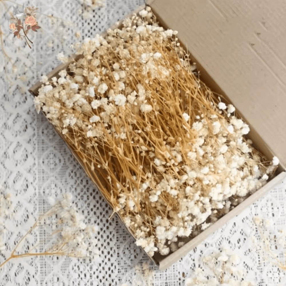 BloomCraft Mini Dried Babys Breath Flowers Real Gypsophila For Crafts Decor 0