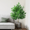 VerdantTall Artificial Eucalyptus Plant Realistic Tall Indoor Tree For Home Office 0