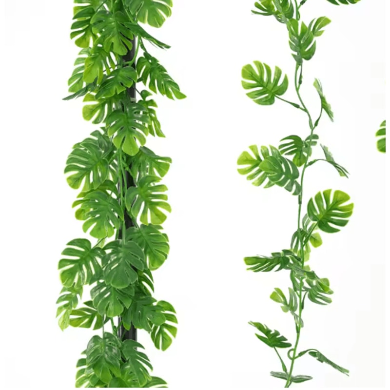 TropiVine Monstera Hanging Plants Lush Tropical Greenery For Home Events 3