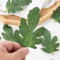 GreenCraft Artificial Watermelon Leaves Set DIY Greenery For Crafts Decor 3