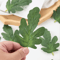 GreenCraft Artificial Watermelon Leaves Set DIY Greenery For Crafts Decor 3