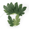 GreenCraft Artificial Watermelon Leaves Set DIY Greenery For Crafts Decor 4