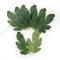 GreenCraft Artificial Watermelon Leaves Set DIY Greenery For Crafts Decor 4
