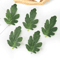 GreenCraft Artificial Watermelon Leaves Set DIY Greenery For Crafts Decor 6