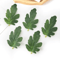 GreenCraft Artificial Watermelon Leaves Set DIY Greenery For Crafts Decor 6