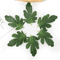 GreenCraft Artificial Watermelon Leaves Set DIY Greenery For Crafts Decor 7