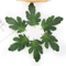 GreenCraft Artificial Watermelon Leaves Set DIY Greenery For Crafts Decor 7