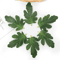 GreenCraft Artificial Watermelon Leaves Set DIY Greenery For Crafts Decor 0