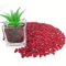 Red Glass Gravel Decorative Chips Vibrant Vase Filler Aquarium Accent Stones 7