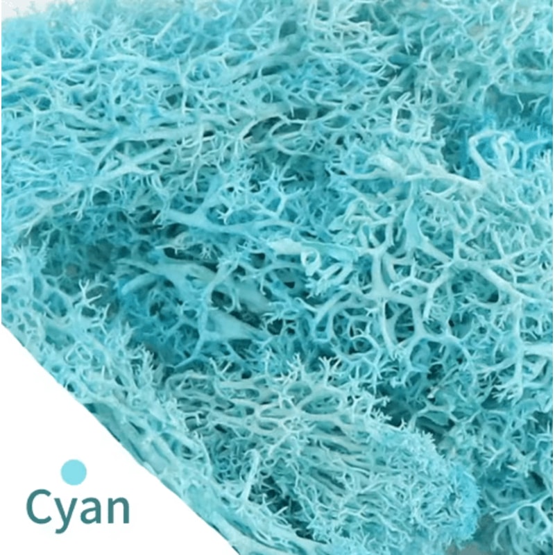 Natural Look Artificial Green Moss Preserved Moss Decor For Mini Gardens Wall Accents 5