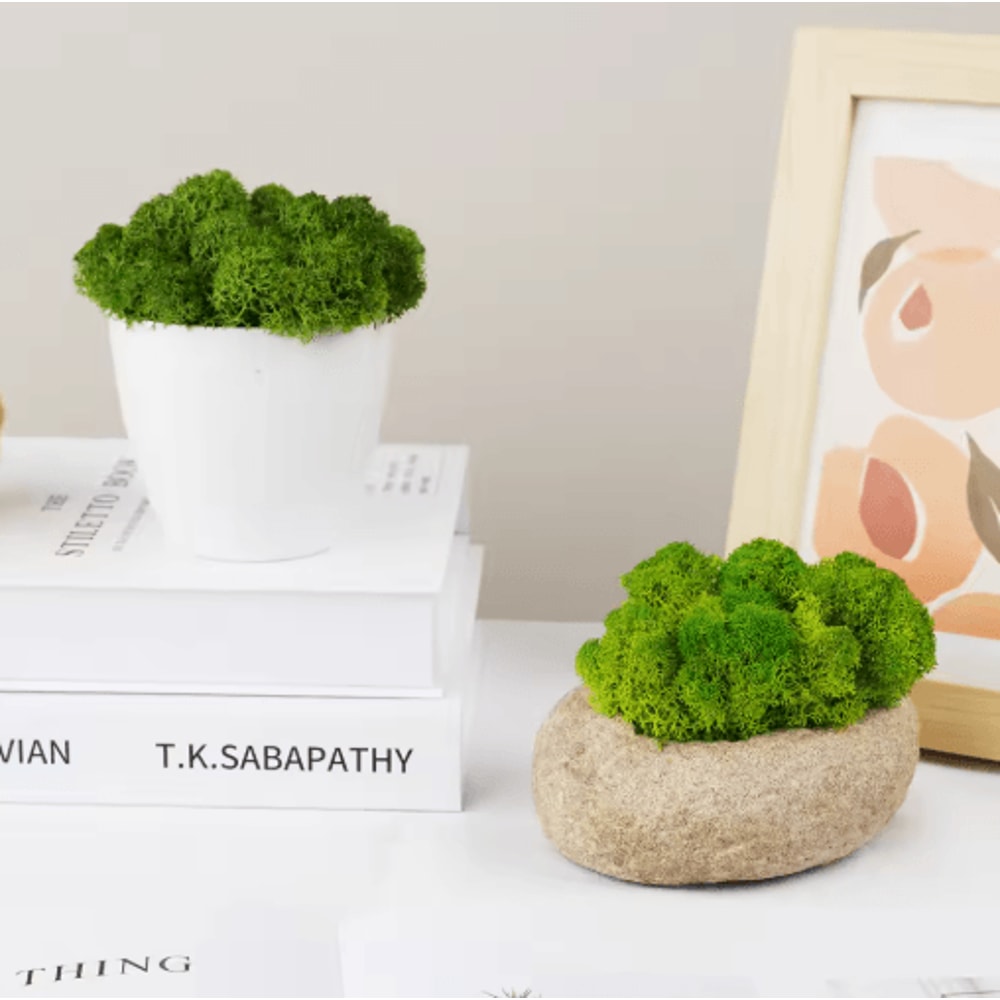 Natural Look Artificial Green Moss Preserved Moss Decor For Mini Gardens Wall Accents 11