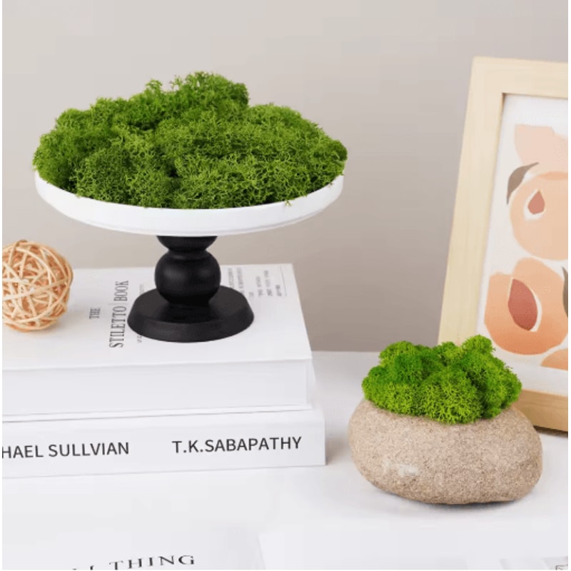 Natural Look Artificial Green Moss Preserved Moss Decor For Mini Gardens Wall Accents 0