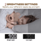 Large Display Digital Alarm Clock LED Desk Clock With Temperature Night Light 6