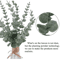 Artificial Eucalyptus Leaves Bulk Set Realistic Greenery For DIY Decor Crafts Events 11