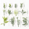 10PCS Artificial Green Leaves DIY Decorative Foliage For Weddings Crafts Home Decor 18